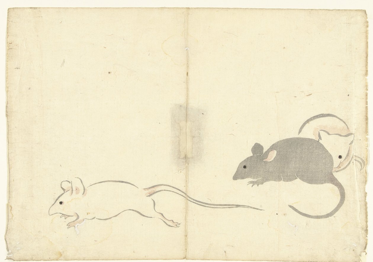 三只老鼠
Korin 画册（系列名称）
科林加富（系列名称） 作者 中村保中