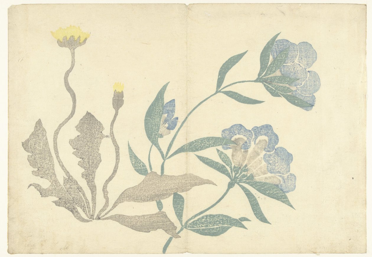 蒲公英和蓝色花朵
Korin 的印刷画册（系列名称）
Korin gafu（系列名称） 作者 中村保中