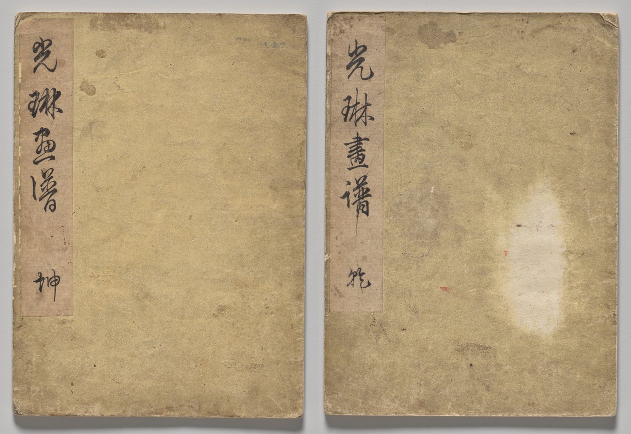 科林图画书 作者 中村保中
