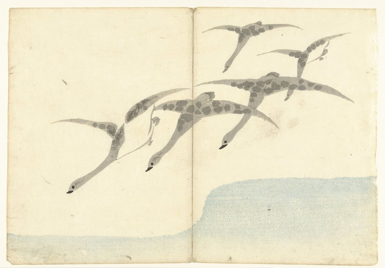五只飞雁
科林（系列名称）印刷画册
Korin gafu（系列名称） 作者 中村保中