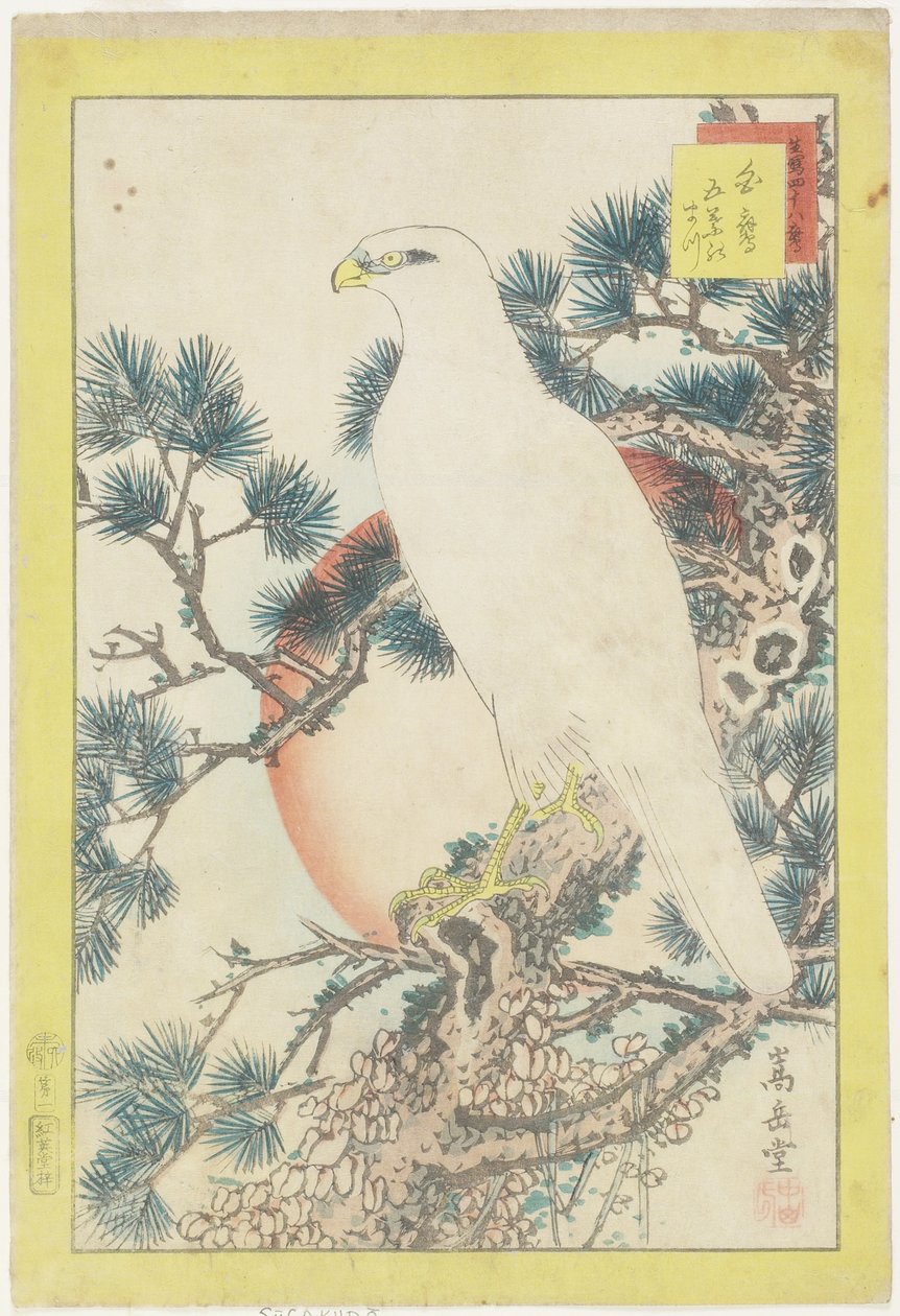 1号，白色猎鹰和五针松，1859年（彩色木版画） 作者 中山寿堂