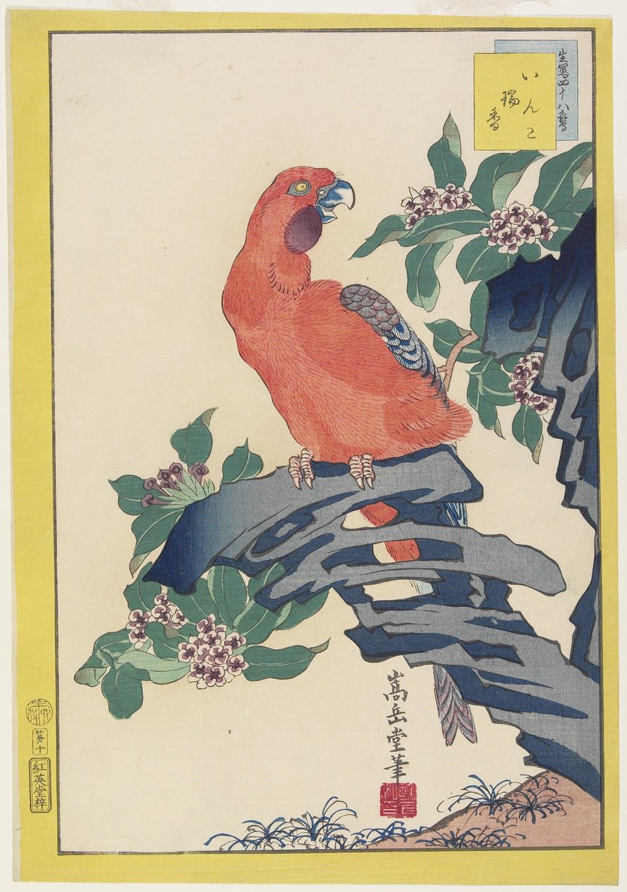 粉红色的鹦鹉岩石，1859年（彩色木版画） 作者 中山寿堂