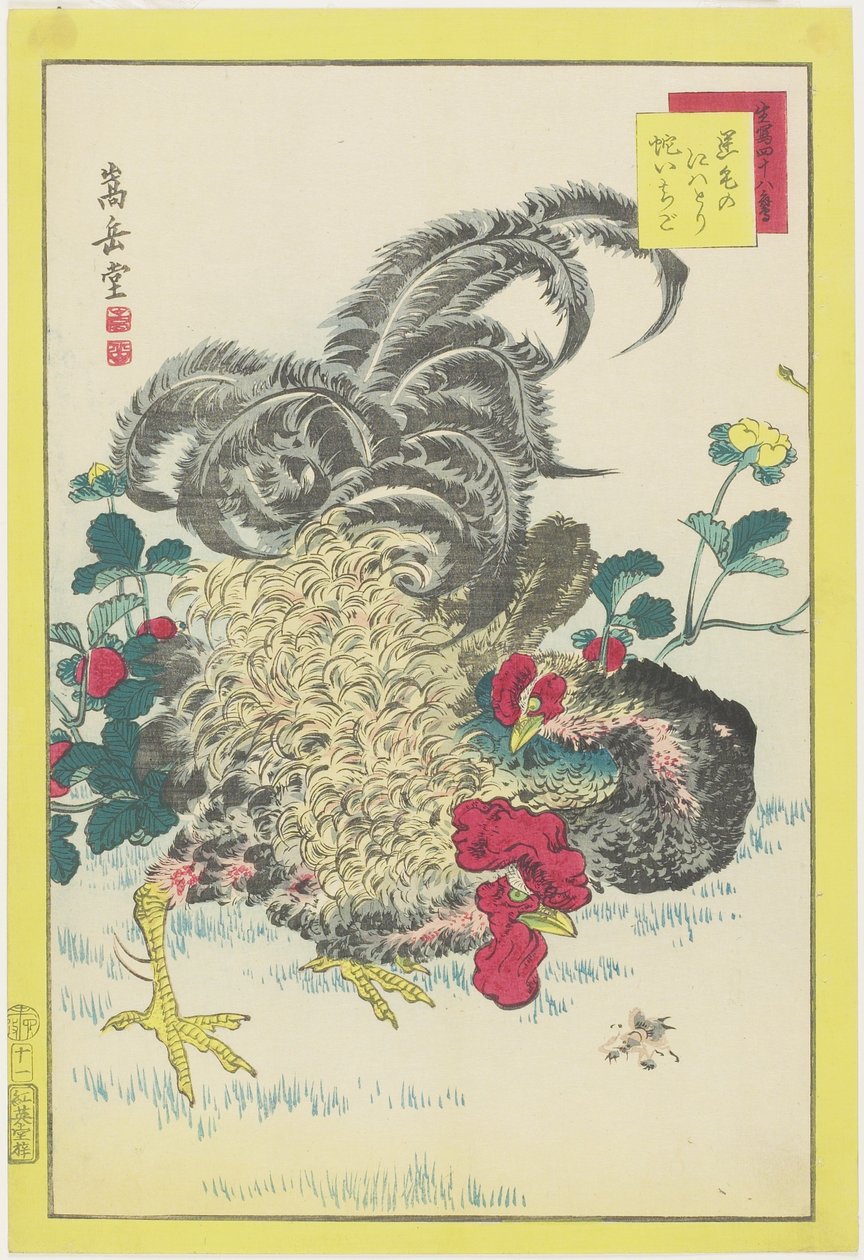 公鸡和覆盆子，1859年6月（彩色木版画） 作者 中山寿堂