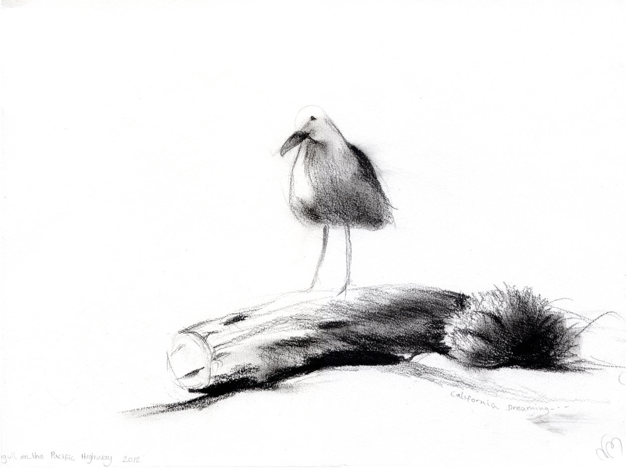 加州海鸥，2012年，（纸上的木炭） 作者 南希·莫尼兹·查拉拉姆布斯