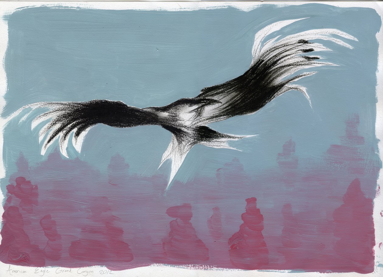 Canyon Eagle，2014，（纸上水粉和木炭） 作者 南希·莫尼兹·查拉拉姆布斯