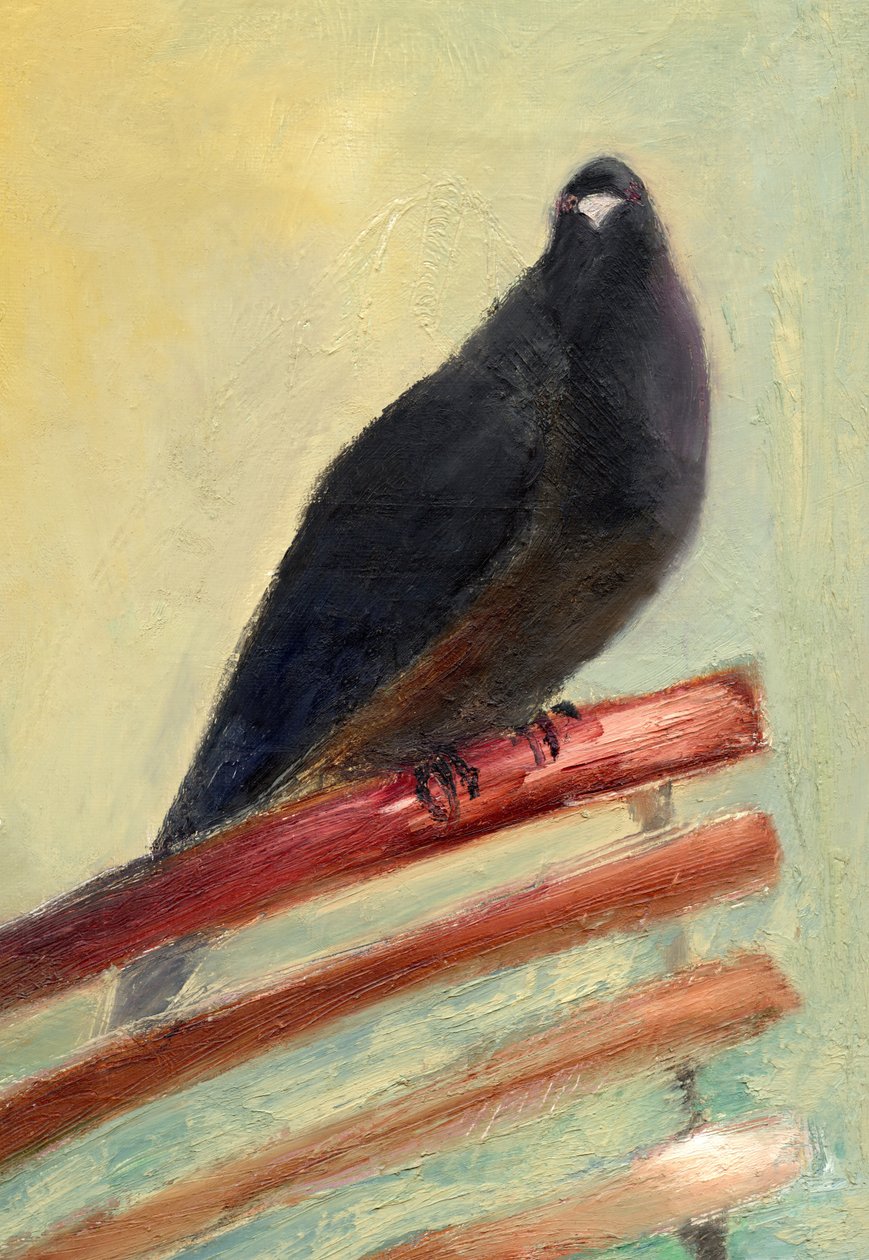 Kingly Court Pigeon，2013， 作者 南希·莫尼兹·查拉拉姆布斯
