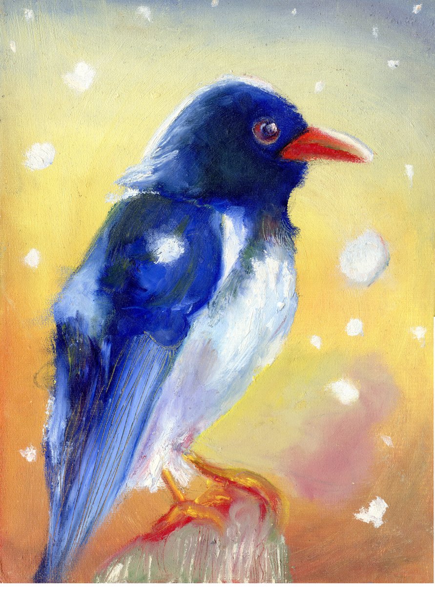 红雪鹊与雪滴，2012年， 作者 南希·莫尼兹·查拉拉姆布斯