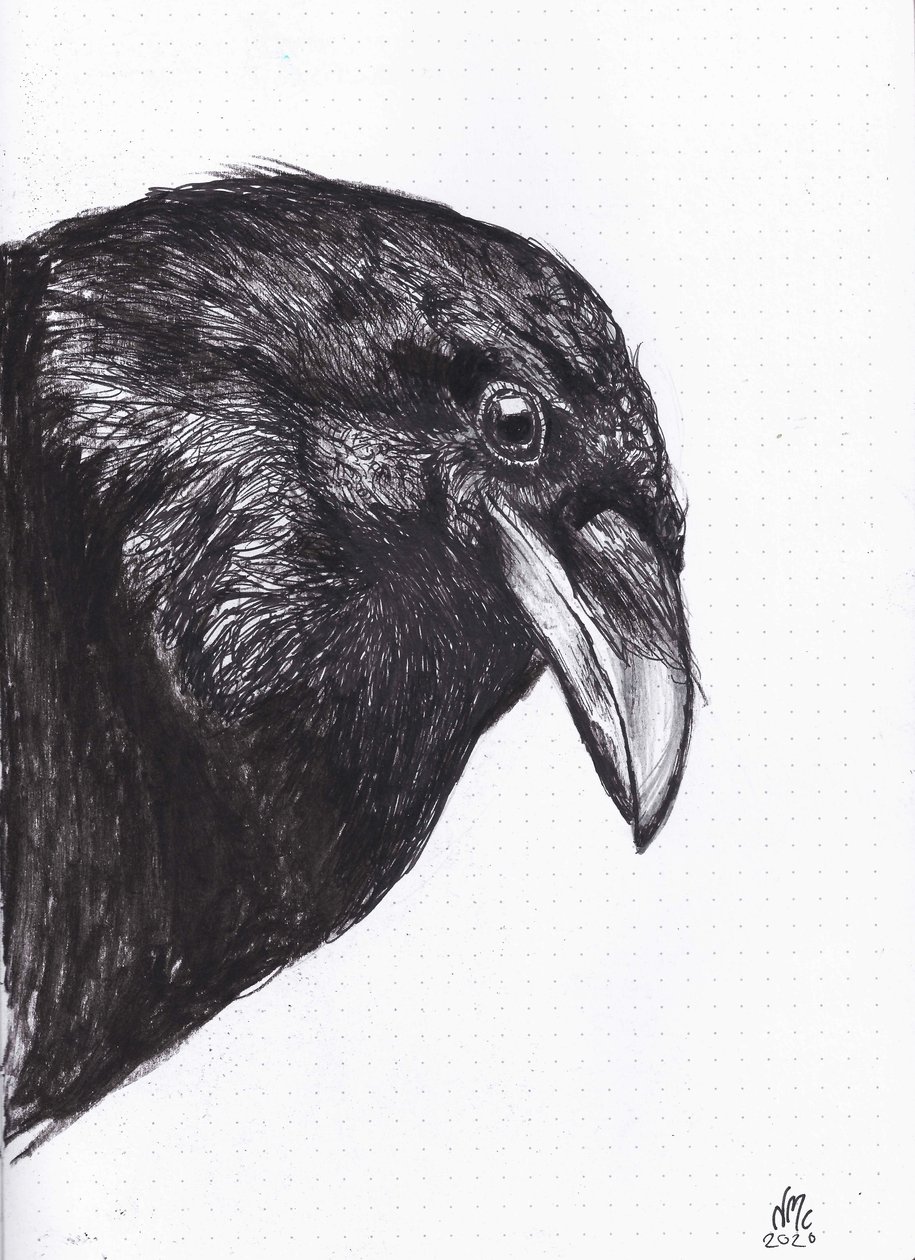 Crow or Raven, 2020 作者 南希·莫尼兹·查拉拉姆布斯