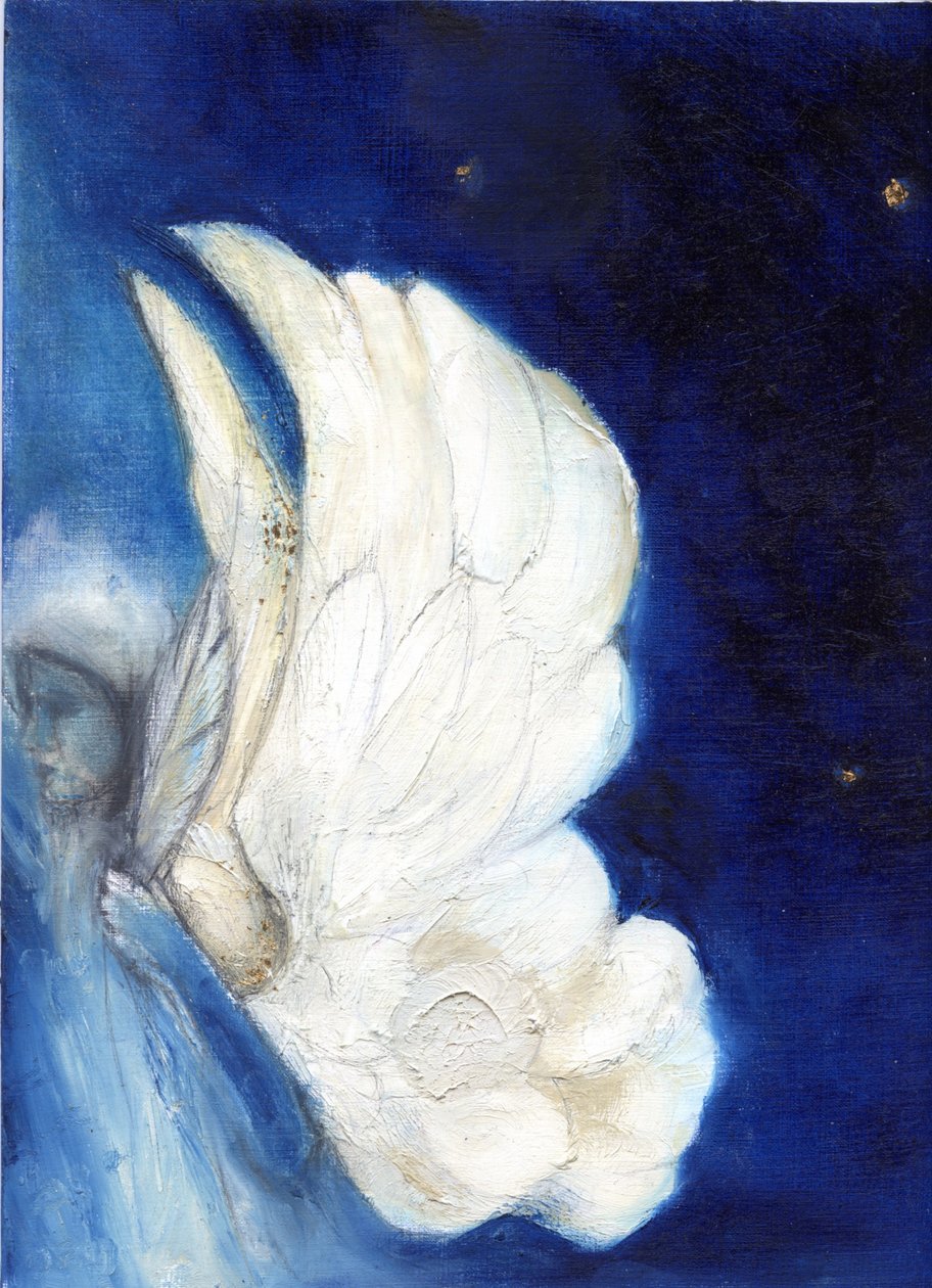 Wings over London, 2013 作者 南希·莫尼兹·查拉拉姆布斯