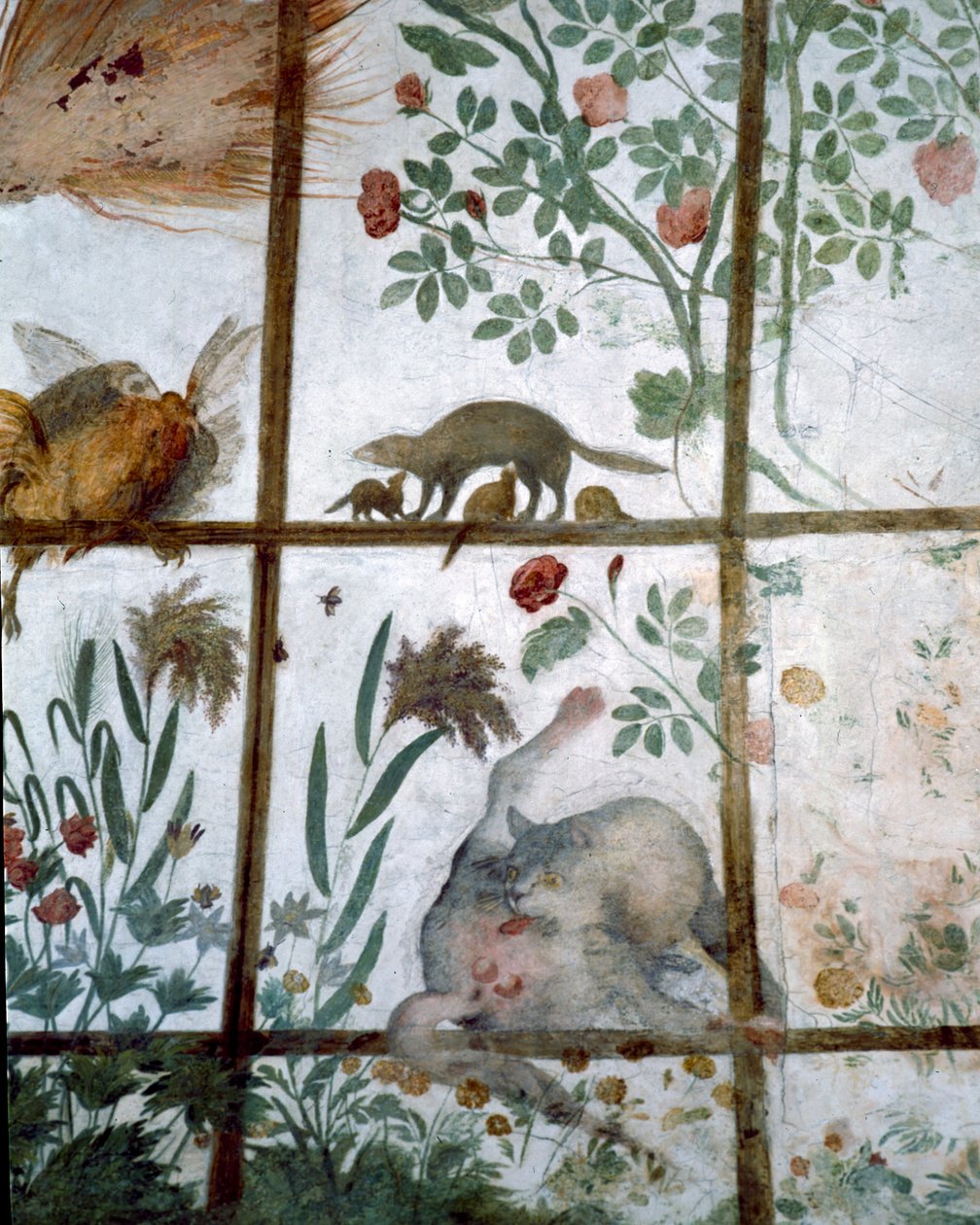 Francesco deMedici 1541-87的Studiolo研究的前室详细装饰描绘了花园凉棚中的动物，1564-75壁画 作者 Bartolomeo Ammannati