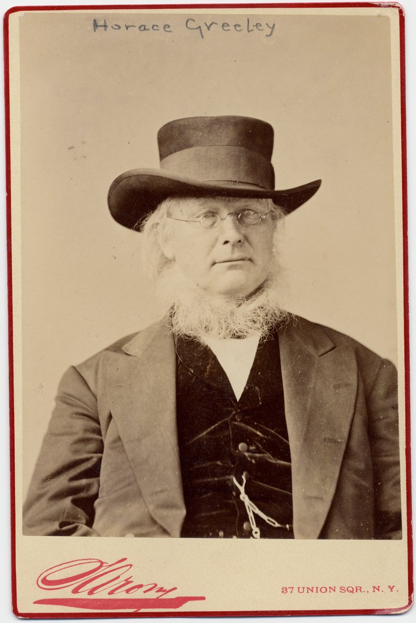 Horace Greeley（1811-72），美国政治和报纸编辑（蛋白照片） 作者 拿破仑·萨罗尼（Napoleon Sarony）