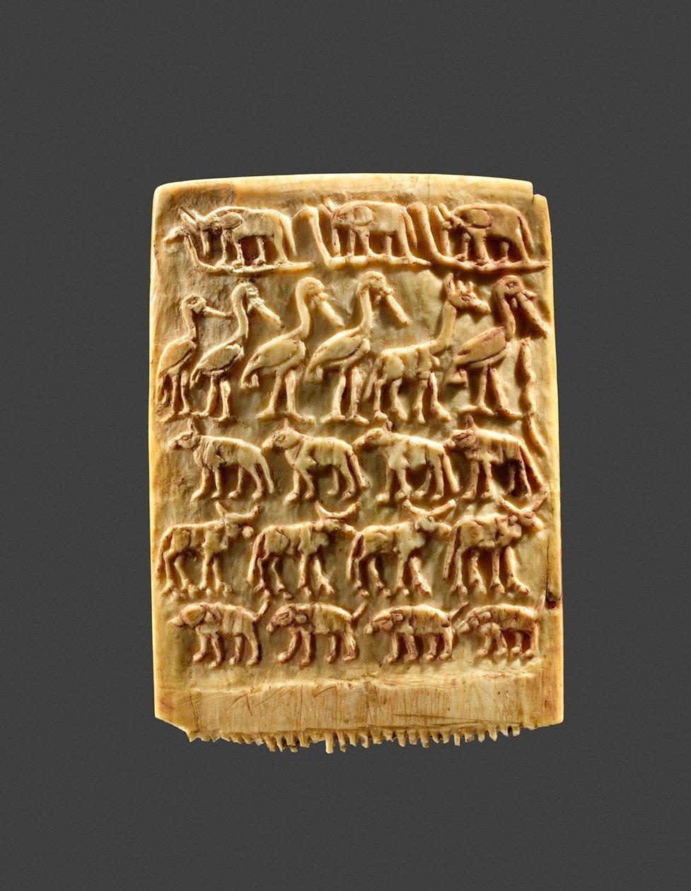 饰有成排野生动物的发梳，约公元前3200-3100年（象牙 作者 纳卡达时期埃及
