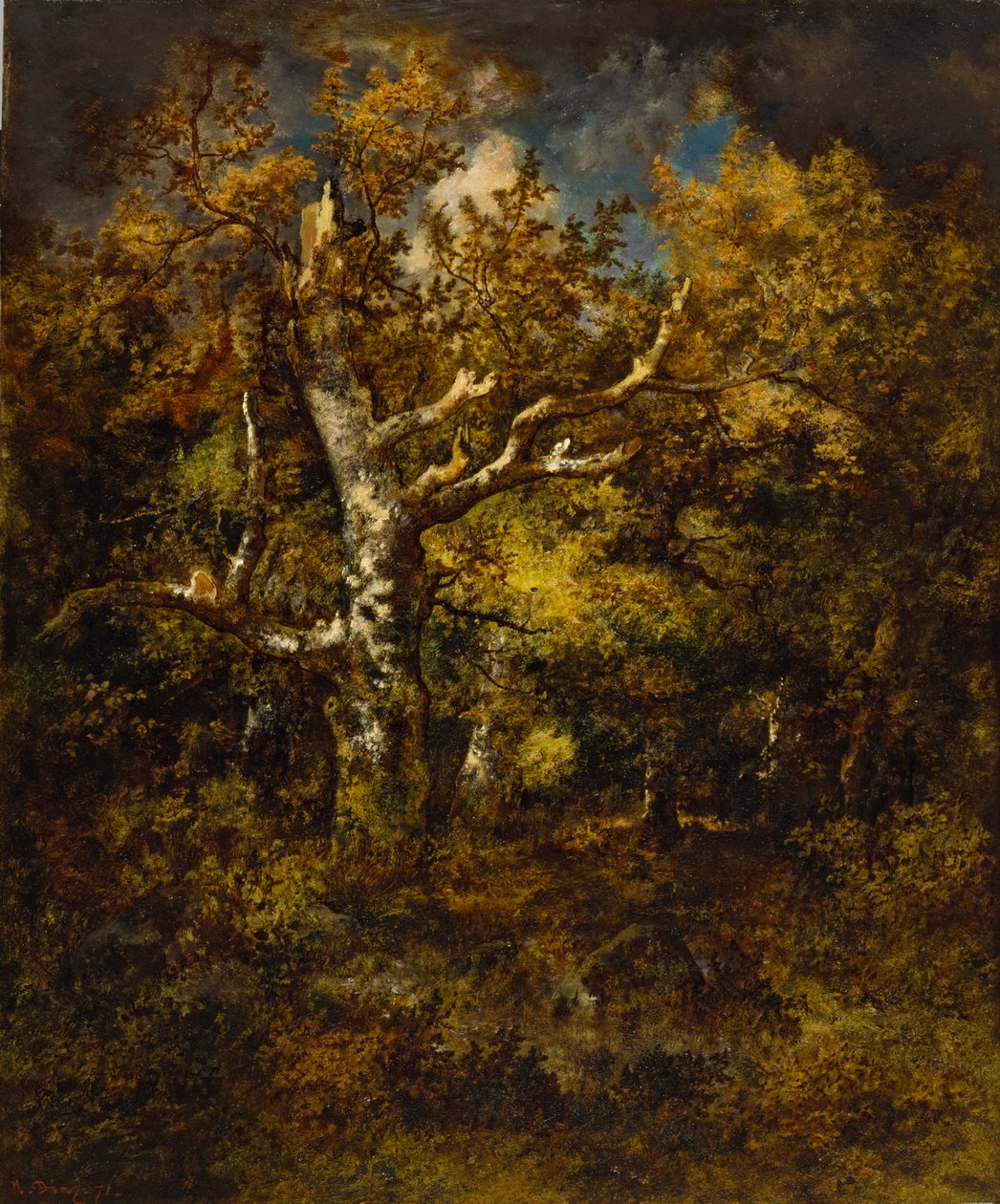 枫丹白露森林，秋天，1871年 作者 Narcisse Virgile Diaz de laPeña