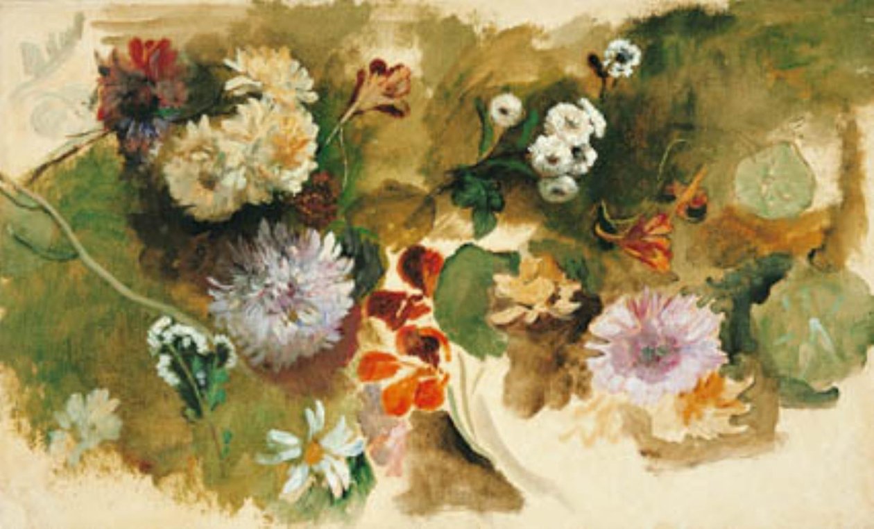 对不同花卉的研究 作者 Narcisse Virgile Diaz de laPeña