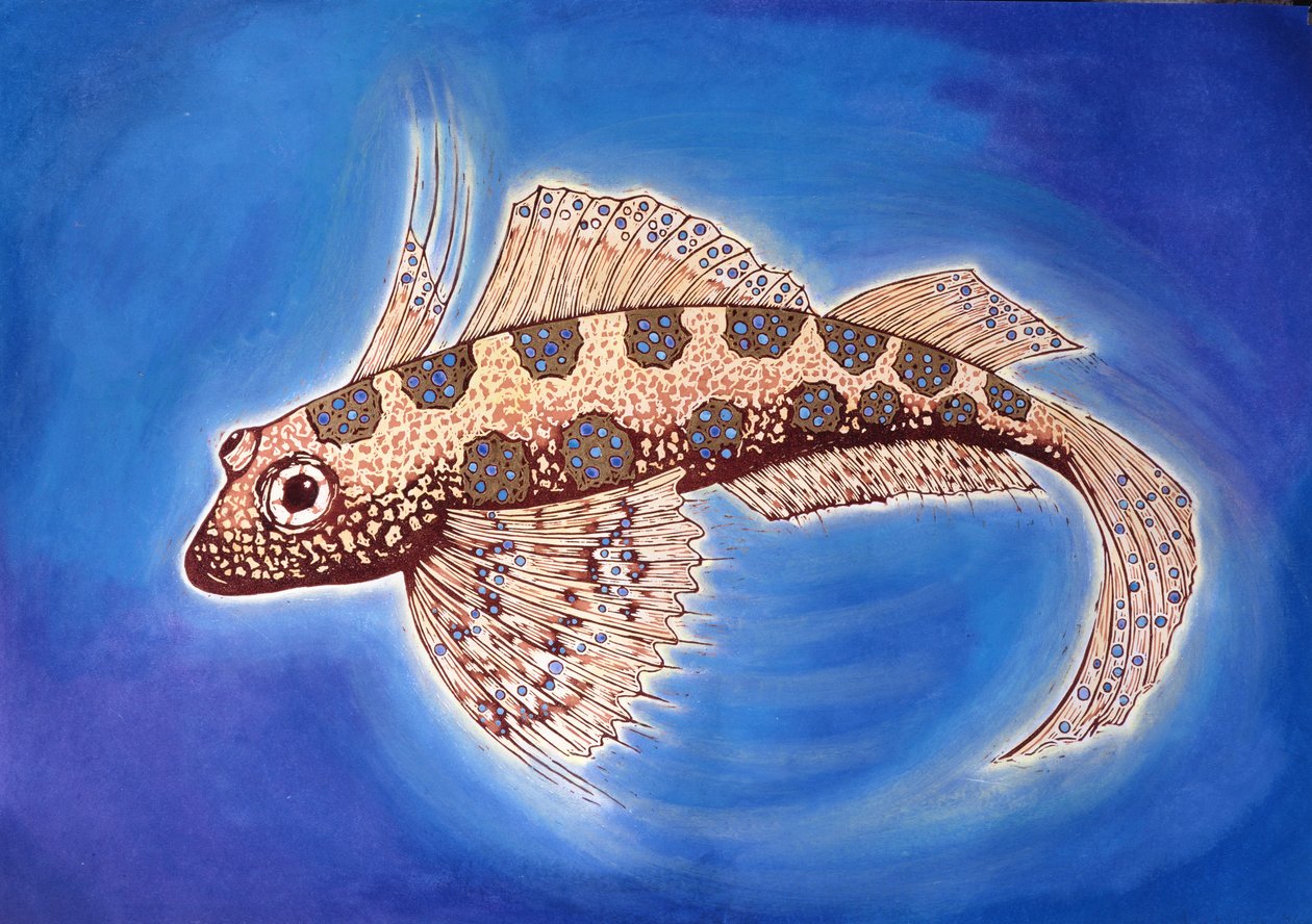 Dragonet Fish，1999（木刻版画和混合媒体） 作者 纳特·莫利