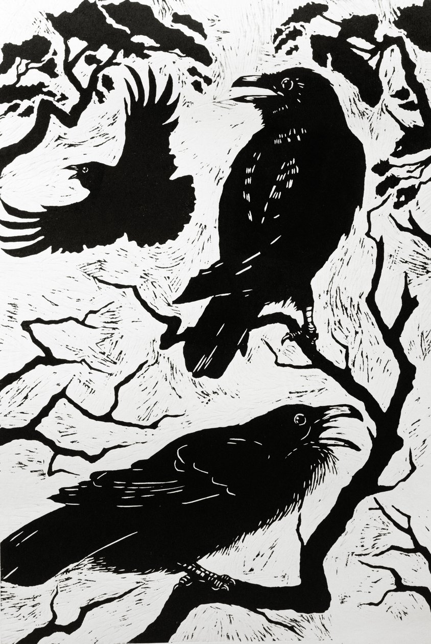 乌鸦，1998 作者 纳特·莫利
