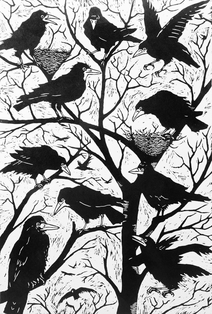 Rooks，1998 作者 纳特·莫利