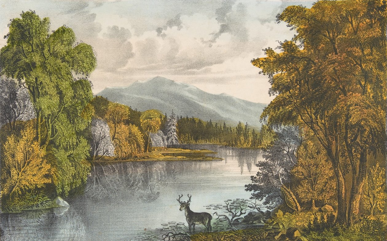 麋鹿头湖，缅因州，1857-72., 1857-72.创作者：Nathaniel Currier, James Merritt Ives, Currier and Ives. 作者 库里尔和艾夫斯
