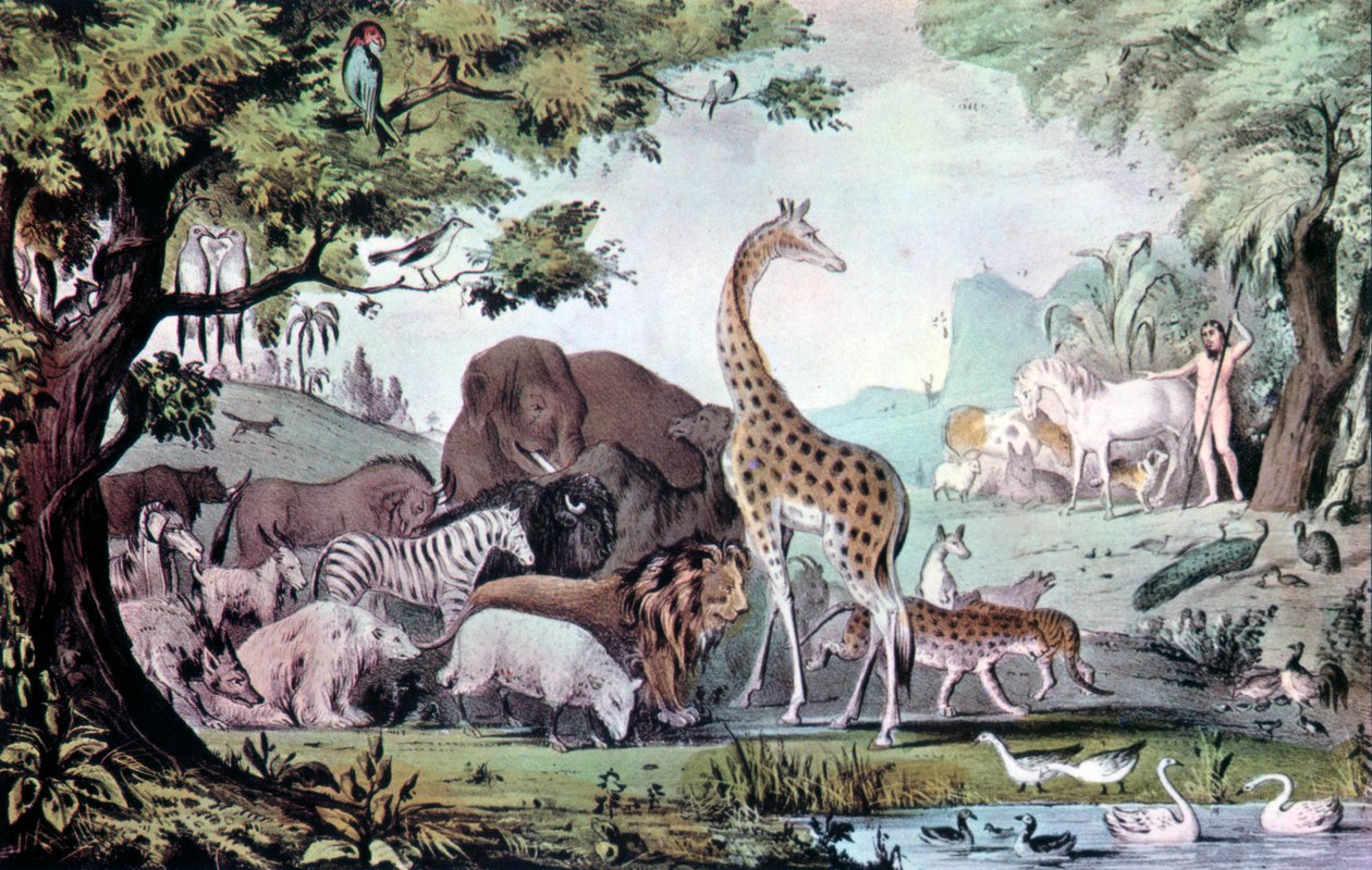 亚当命名生物，1847年。 作者 纳撒尼尔·卡里尔（Nathaniel Currier）