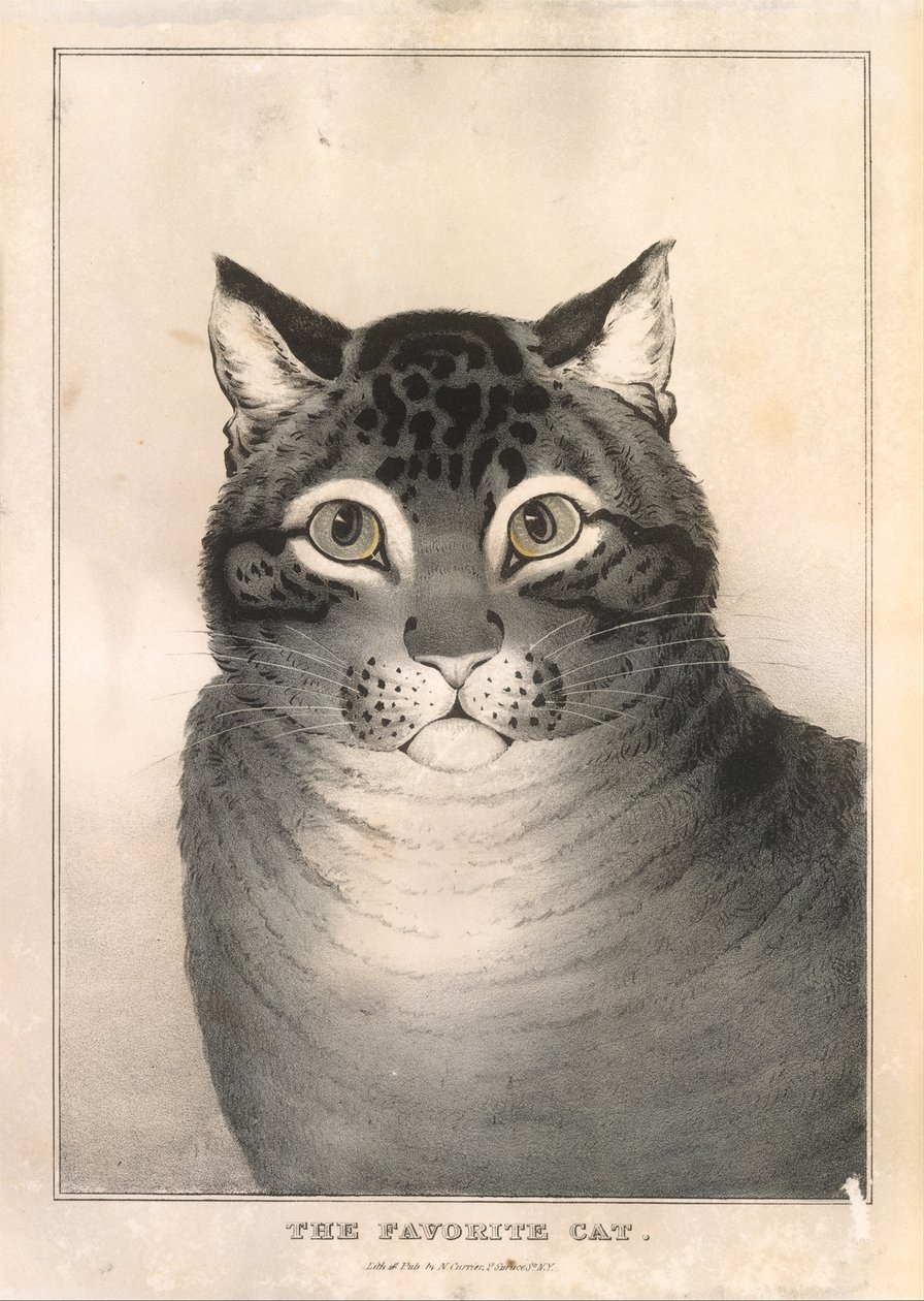 最爱的猫》，1838-46。 作者 纳撒尼尔·卡里尔（Nathaniel Currier）