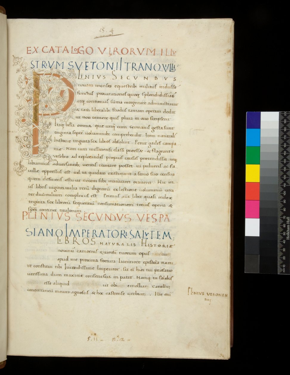 394.1 女士。 老普林尼，自然历史，f.1r。 带白色藤茎装饰的发光首字母 [P]（未完成），那不勒斯，15 世纪中叶，约 1442 年（羊皮纸） 作者 那不勒斯学校