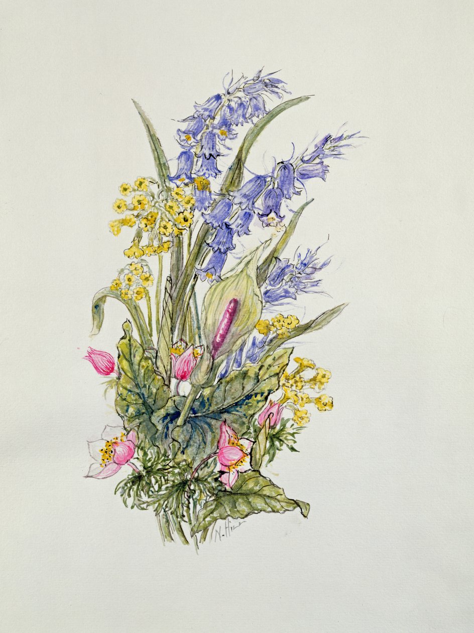 蓝铃花诗句与cowslips，dogroses和百合 作者 内尔·希尔