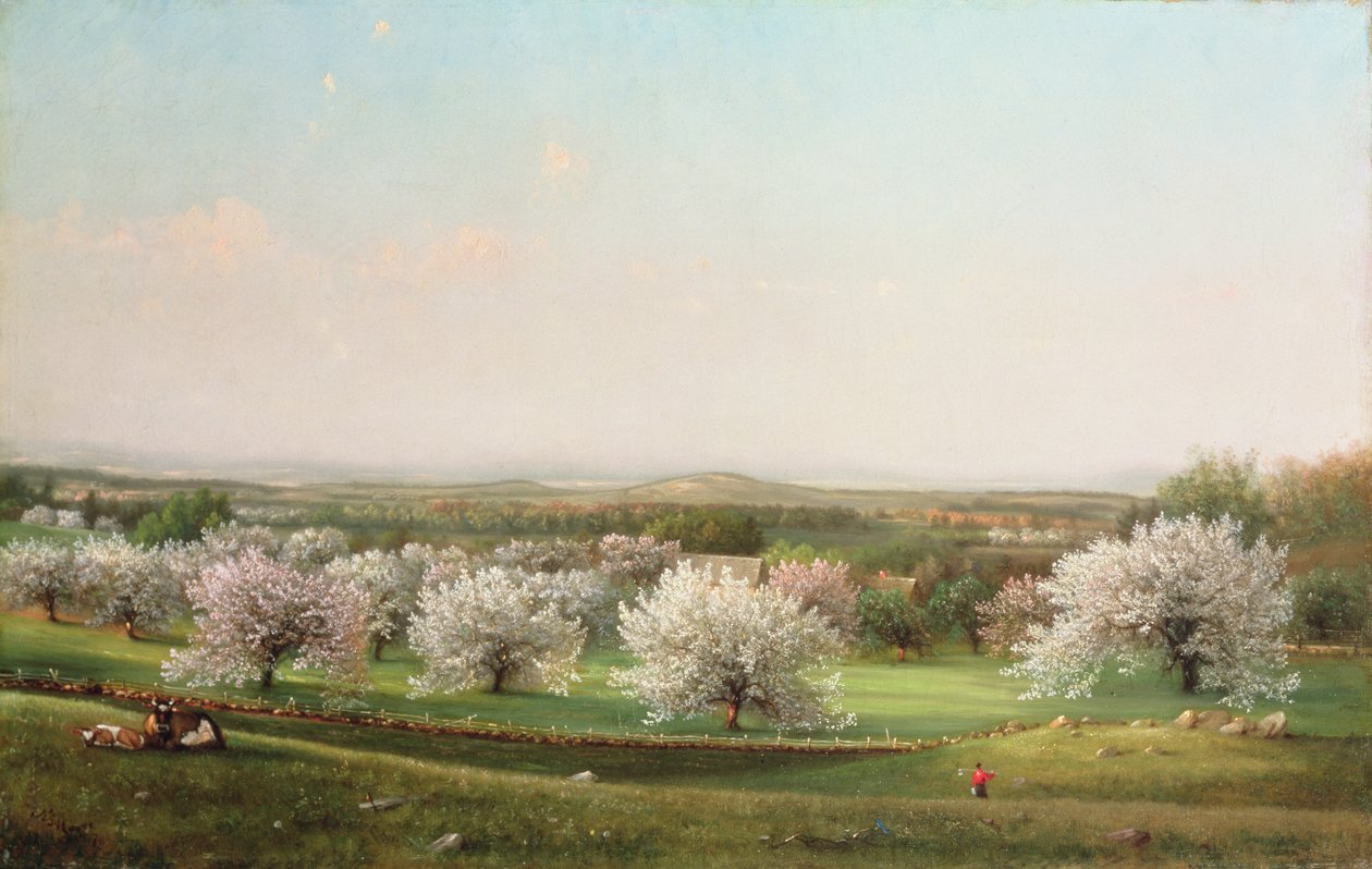 Apple Orchard，1878 作者 纳尔逊·奥古斯都·摩尔
