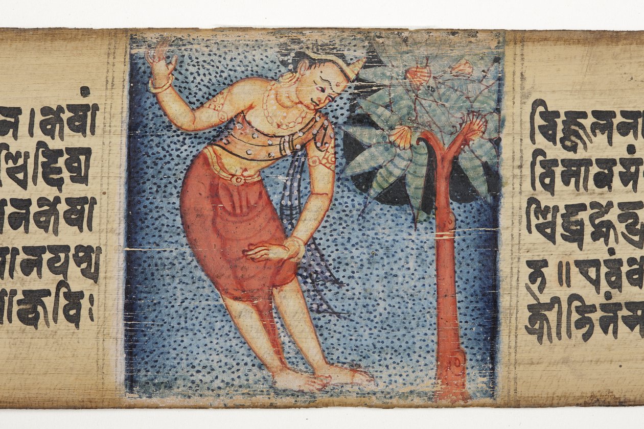 Sudhana站在一棵树旁边，从Gandavyuha（不透明的wc和棕榈叶上的墨水） 作者 尼泊尔学校