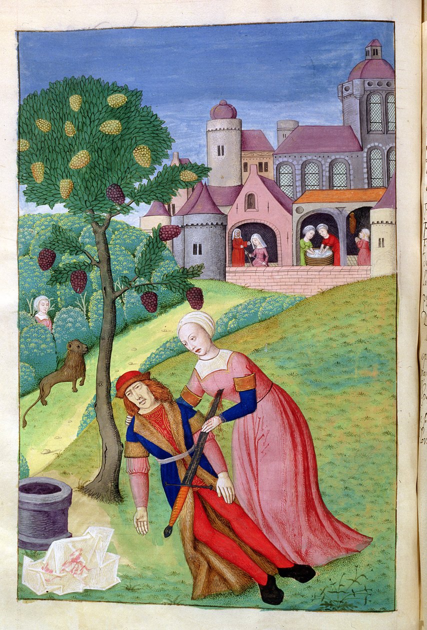 324 f.44 v.Alcithoe，Pyramus和Thisbe，Mulberry树改变颜色，来自Ovid的Metamorphoses，1479 作者 荷兰语学校