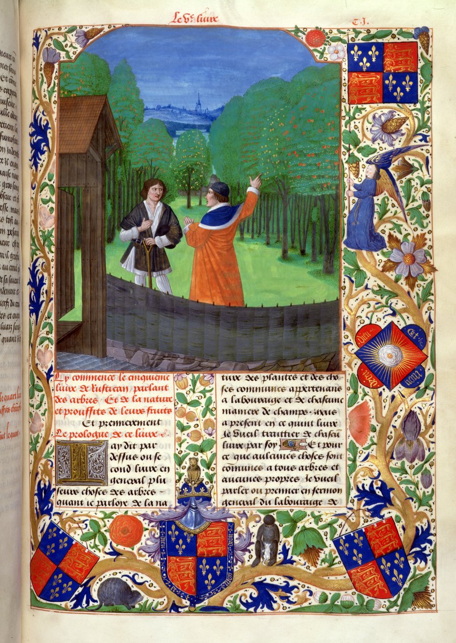罗伊 14 E VI f.110 作者在果园中对园丁的谈话，选自《Rustican du cultivement des terres》，为爱德华四世而作，布鲁日 作者 荷兰语学校