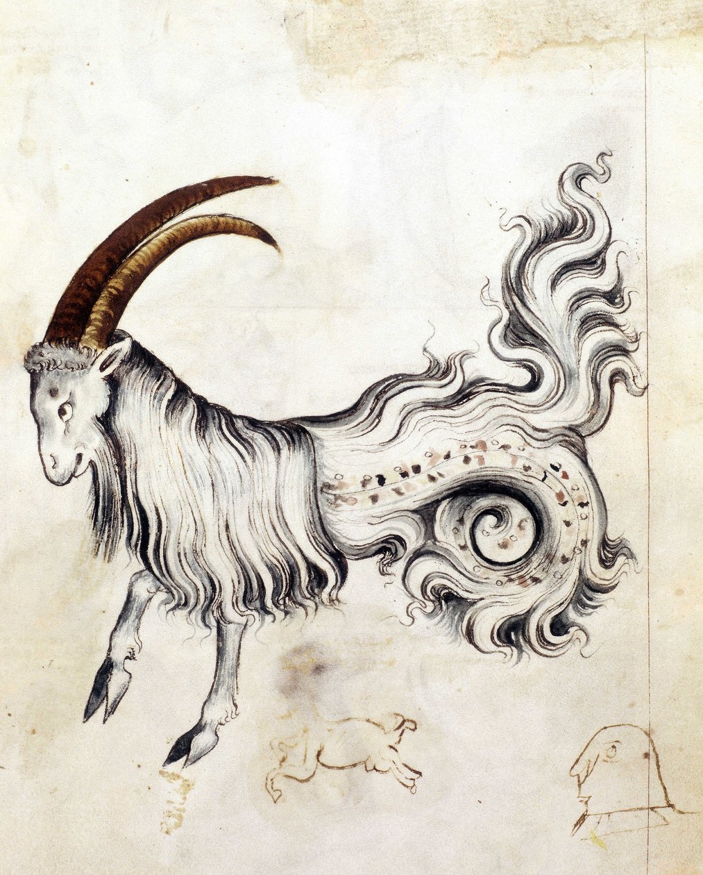 斯隆 3983，f.3v 十二星座摩羯座（牛皮纸） 作者 荷兰语学校