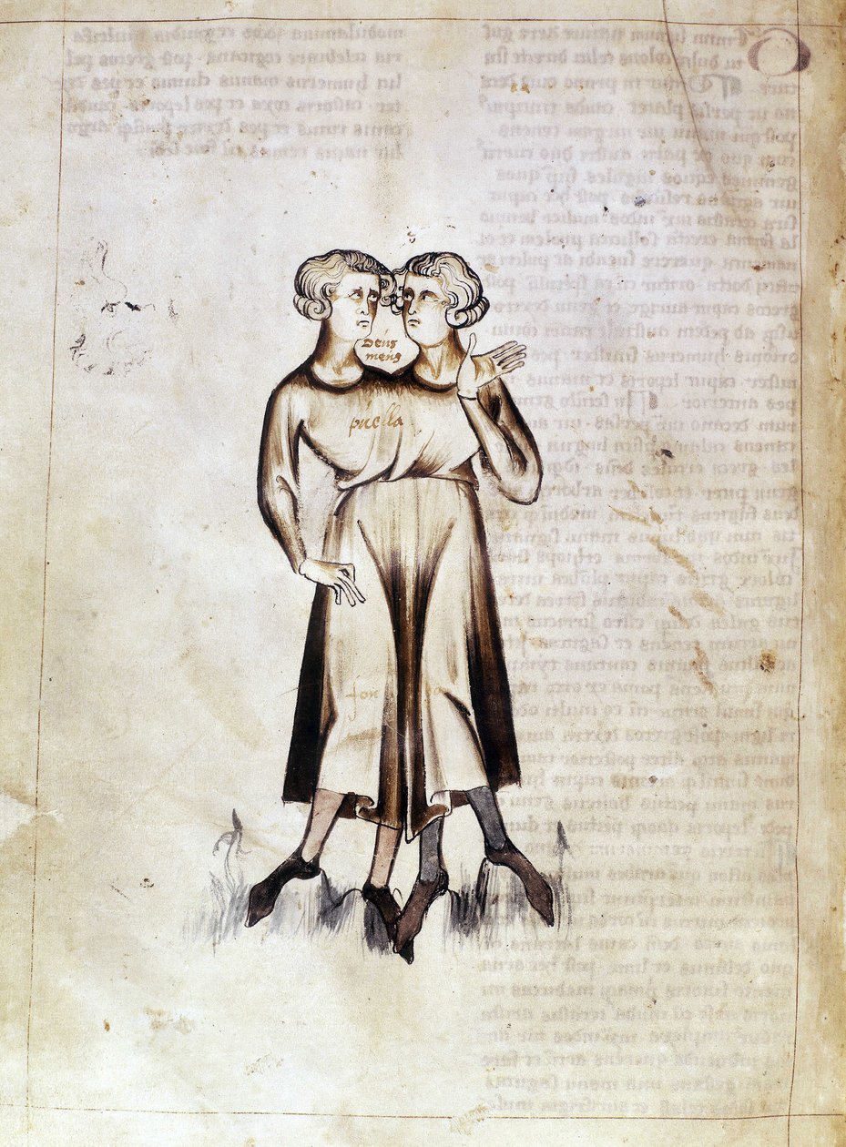 Sloane 3983 f.8v 双子座图，摘自 Jafar ibn Muhammad 翻译的波斯占星学论文（牛皮纸）。 作者 荷兰语学校