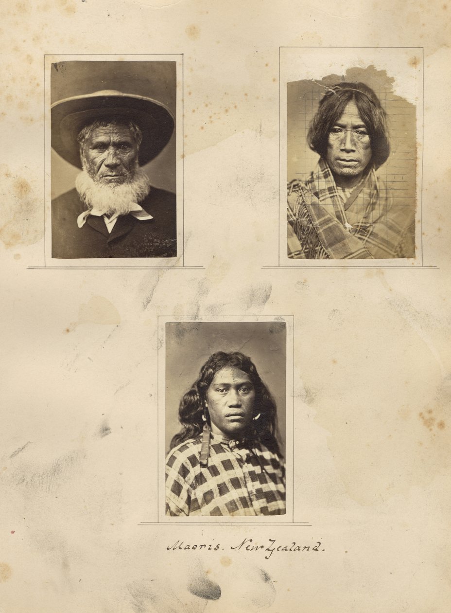 Maoris，新西兰，1865年（蛋白质印刷品） 作者 新西兰摄影师