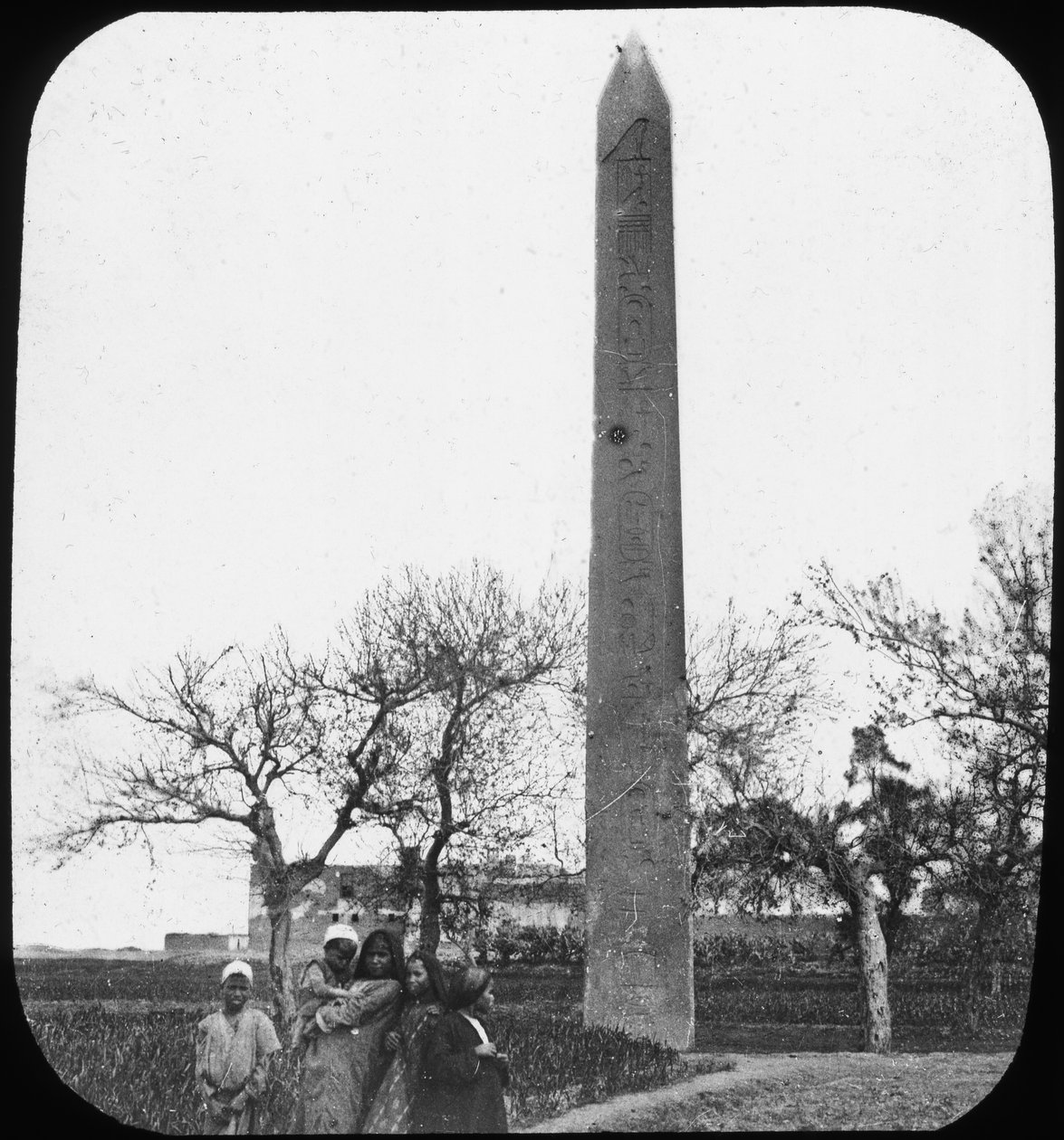 方尖碑，埃及赫利奥波利斯，大约1890年 作者 牛顿公司