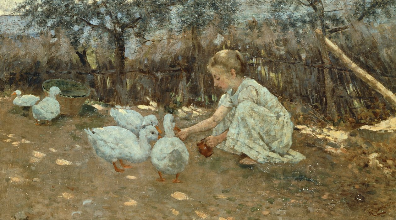 《小鹅群》，约 1892 年，尼科洛·坎尼奇 (Niccolo Cannicci)（1846-1906）的作品，布面油画，40.5x70.5 厘米。 作者 尼可可罗坎尼奇