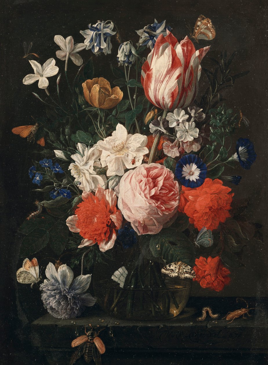 玫瑰，郁金香，牵牛花和其他花朵在石制壁架上的玻璃花瓶中，1671年 作者 尼古拉·范·凡伦德尔