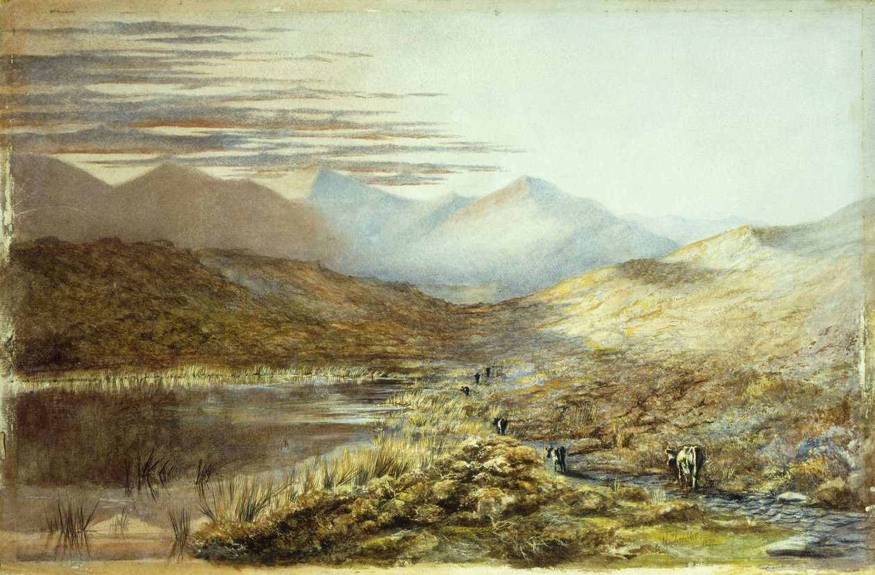 新西兰普卡基湖，1872年 作者 尼古拉斯·谢瓦利埃（Nicholas Chevalier）