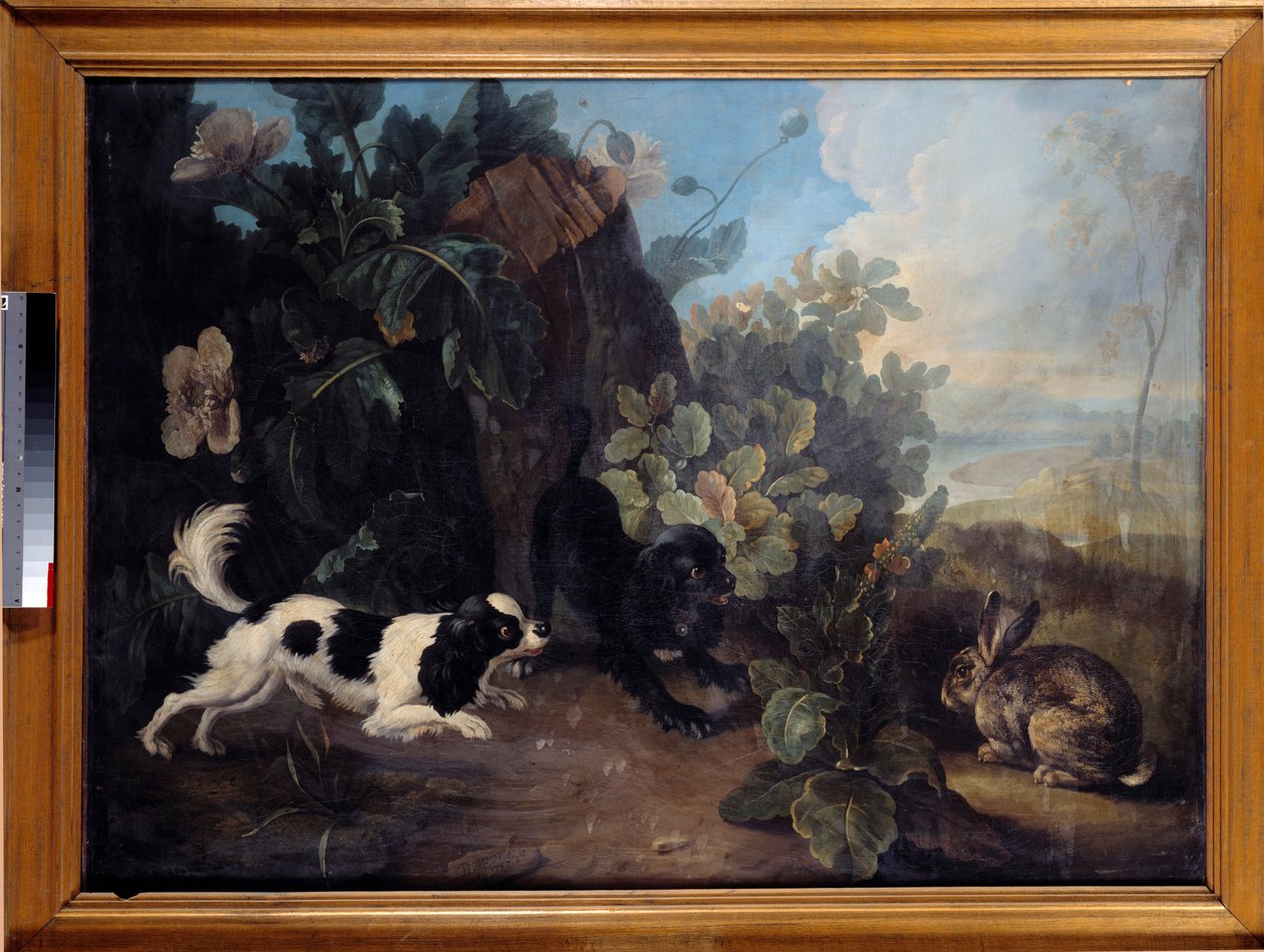 两只狗和一只兔子 尼古拉-德斯波特（Nicolas Desportes dit le Nepheu）（1718-1787）的画作 1757年，太阳。0,97x1,3米 巴黎，卢浮宫博物馆 作者 尼古拉斯·德斯波特斯