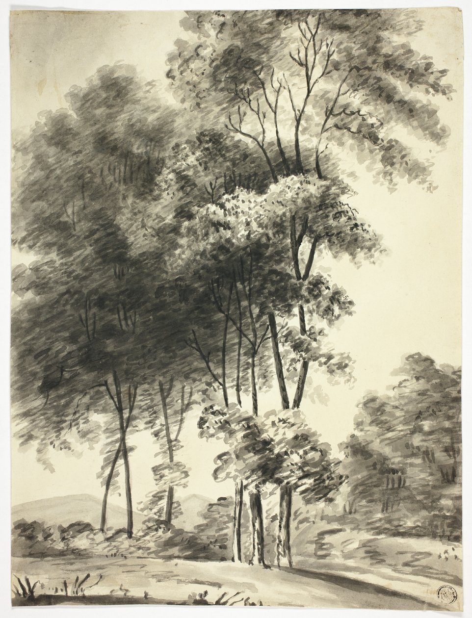 树木与远处的山脉 作者 尼古拉斯·波科克（Nicholas Pocock）