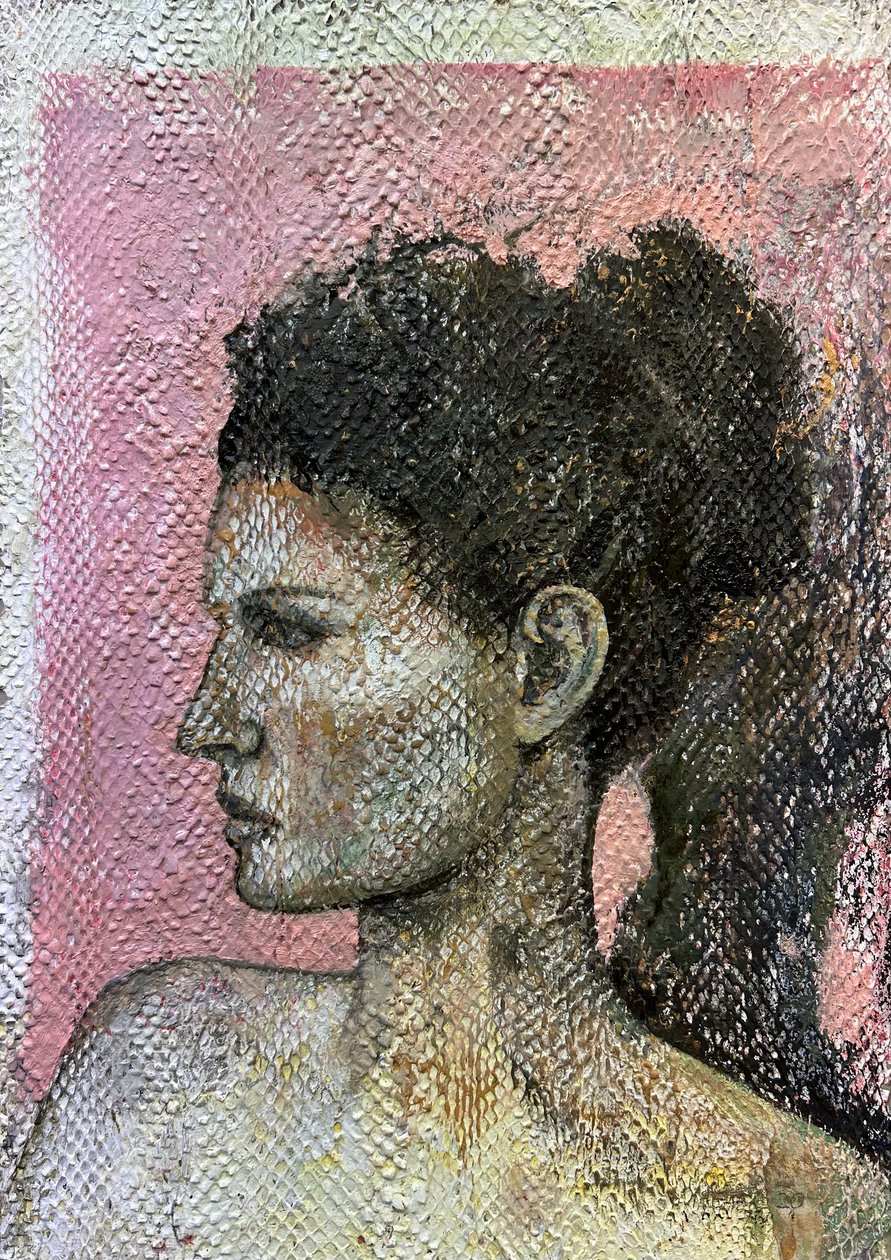 维内塔，2019-23（木板上的蛇皮） 作者 尼克·威廉姆斯