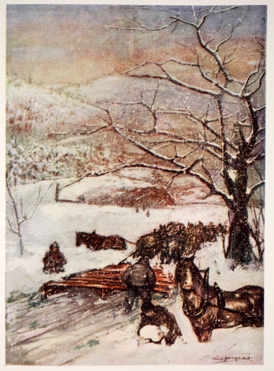 1905年由八匹或十匹马绘制的雪犁 作者 尼科·容曼