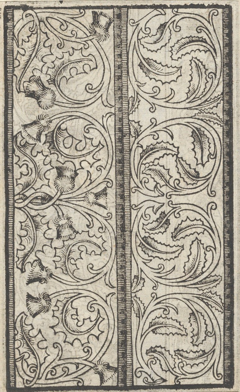 作品标本，第4页直页，1529年8月。，1529年8月。 作者 尼可洛·佐皮诺
