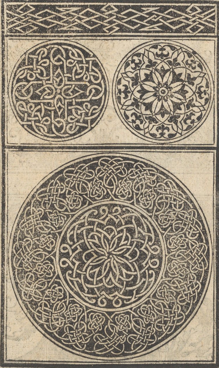 作品样本，第5页直页，1529年8月。，1529年8月。 作者 尼可洛·佐皮诺