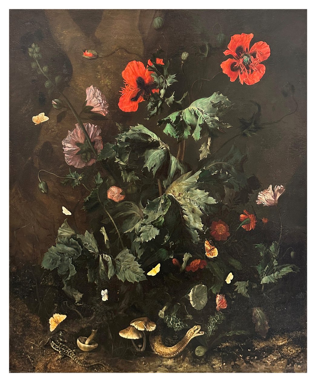 有花、蝴蝶和爬行动物的林地，约 1656-1700 年（布面油画） 作者 尼古拉斯·拉赫特罗皮乌斯