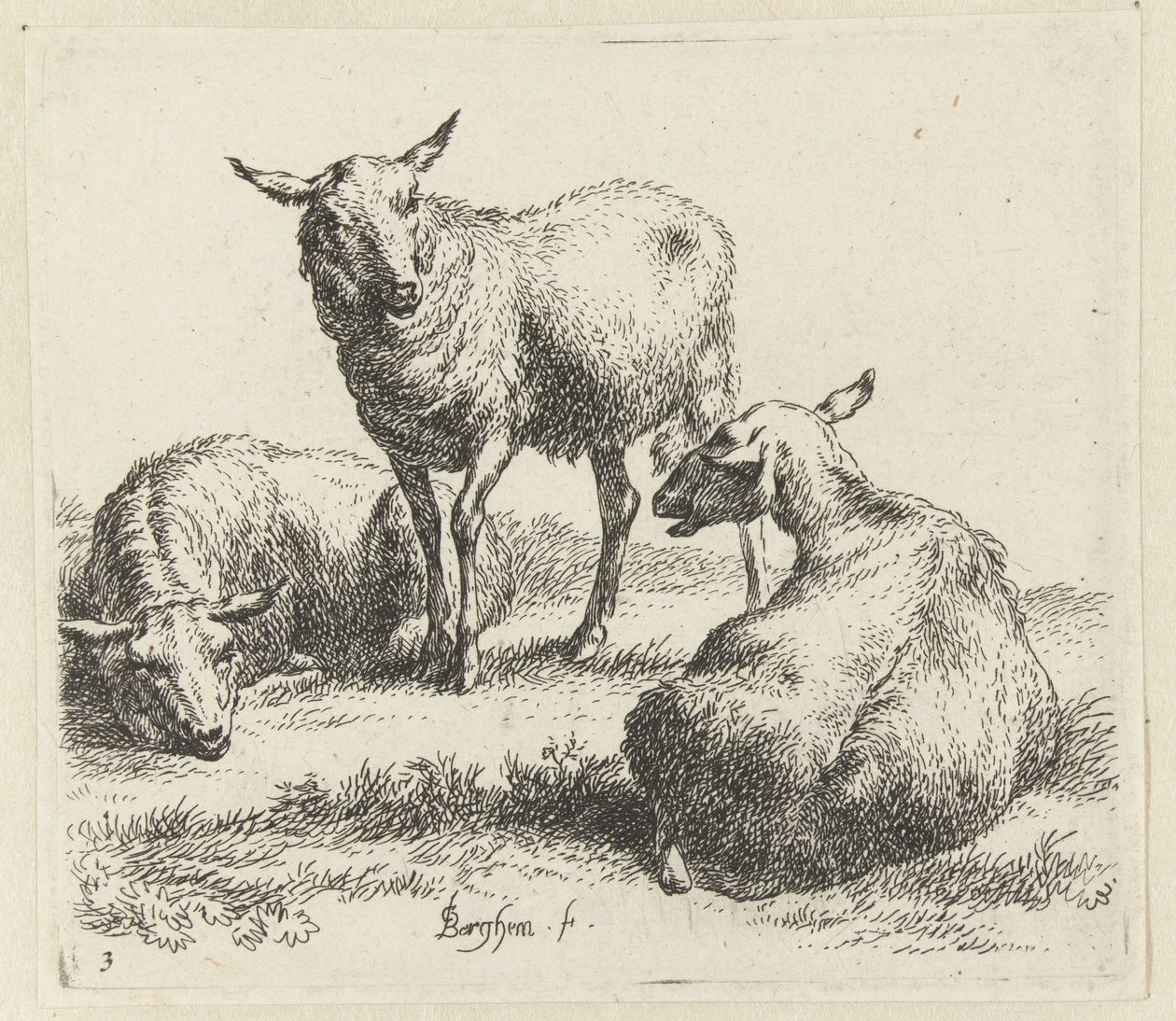 Drie schapen
Schapen （系列名称）
Animalia ad vivum delineata et aqua forti aeri impressa Studio et Arte Nicolai Berchemi（系列标题） 作者 尼古拉斯·彼得斯·贝尔赫姆