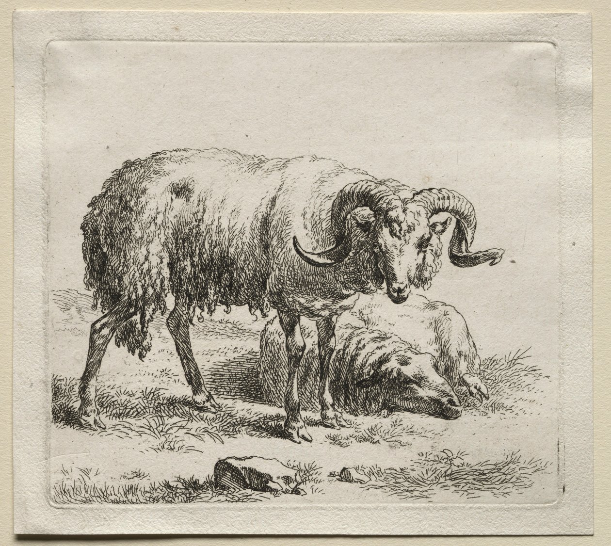 公羊和绵羊。 作者 尼古拉斯·彼得斯（Nicolaes Pietersz）。 Berchem