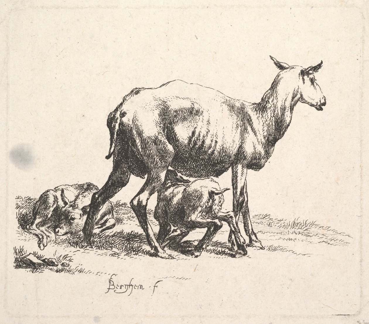 羊与羔羊护理。 作者 尼古拉斯·彼得斯（Nicolaes Pietersz）。 Berchem
