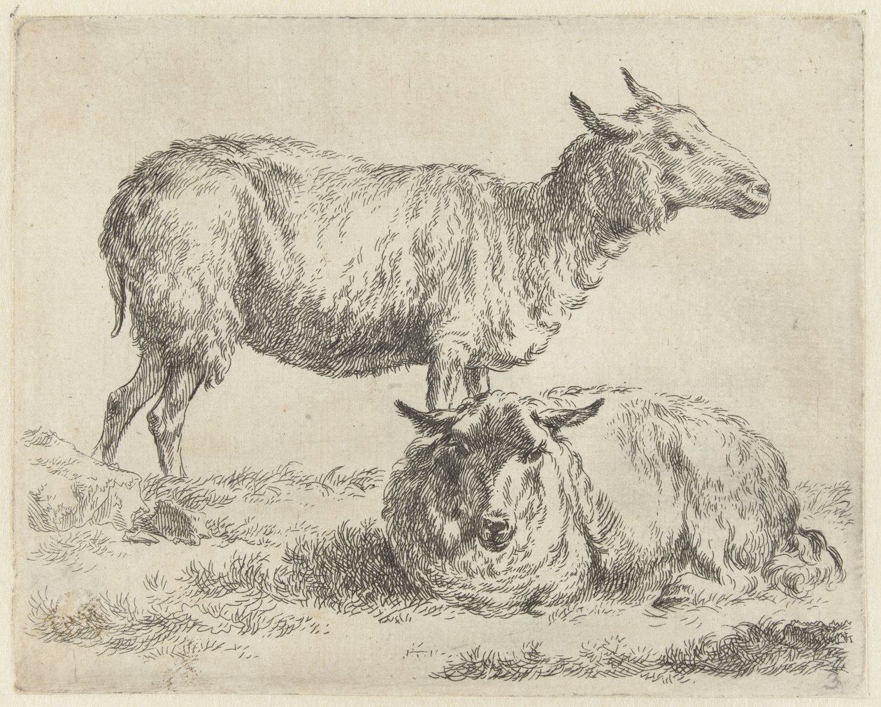 Staand en liggend schaap
Schapen （系列名称）
Animalia ad vivum delineata et aqua forti aeri impressa Studio et Arte Nicolai Berchemi（系列标题） 作者 尼古拉斯·彼得斯·贝尔赫姆