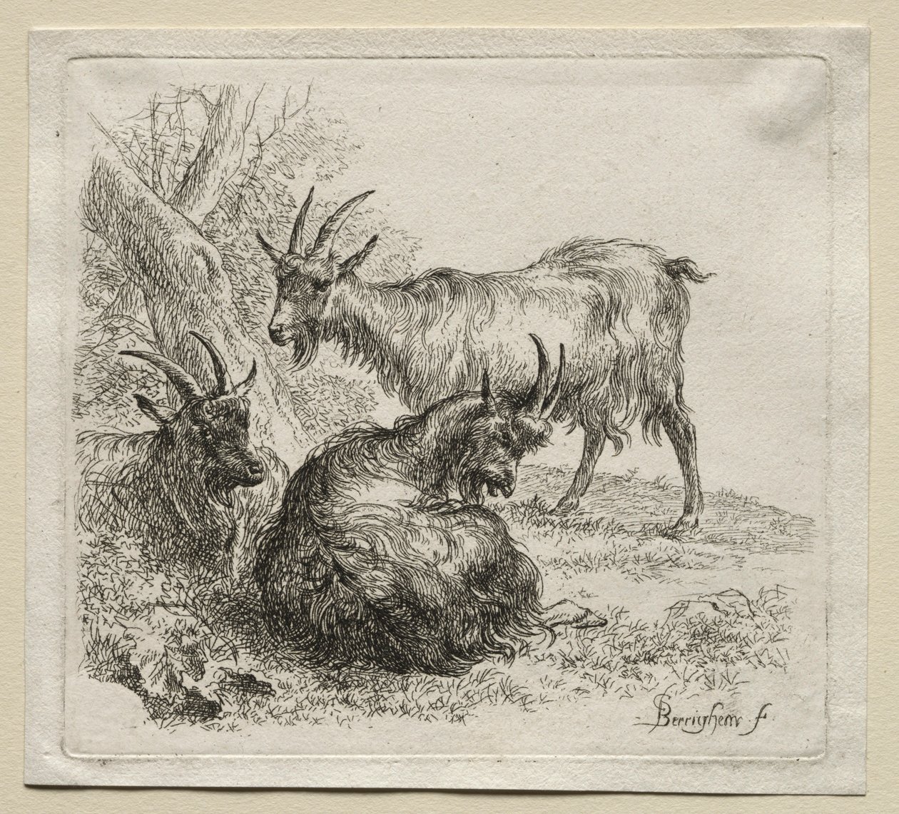 三只山羊。 作者 尼古拉斯·彼得斯（Nicolaes Pietersz）。 Berchem