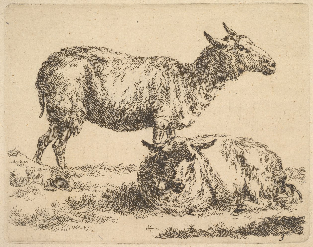 从羊集。 作者 尼古拉斯·彼得斯（Nicolaes Pietersz）。 Berchem